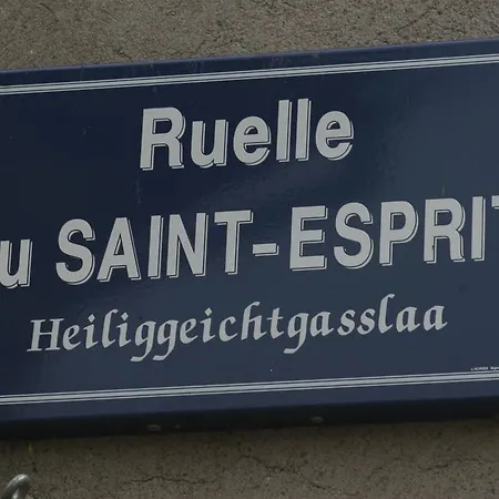 Duplex Du Vignoble Alsace