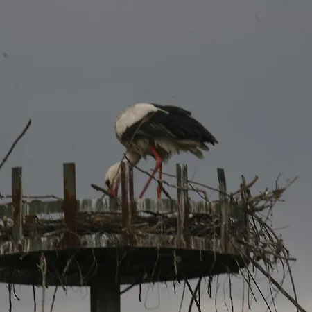 Dom wakacyjny Duplex Du Vignoble Alsace *
