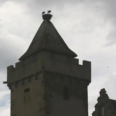 Duplex Du Vignoble Alsace *