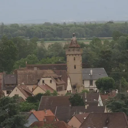 Dom wakacyjny Duplex Du Vignoble Alsace