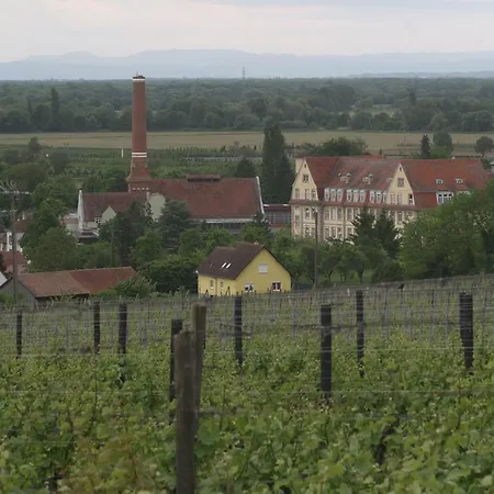 Duplex Du Vignoble Alsace Prázdninový dům