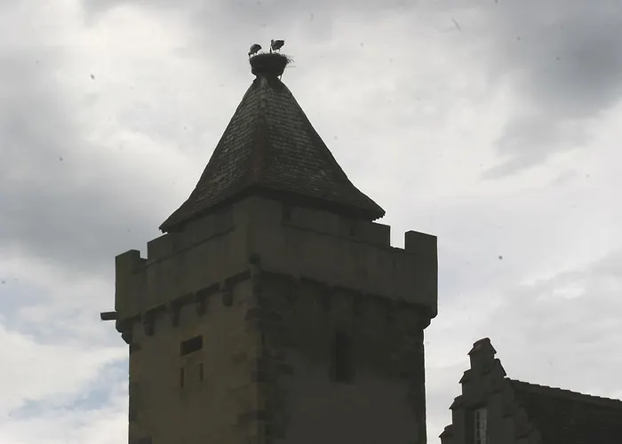 Duplex Du Vignoble Alsace *