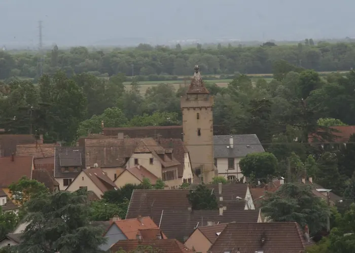 Semesterbostad Duplex Du Vignoble Alsace