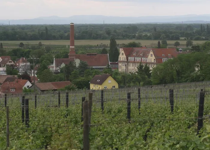 Duplex Du Vignoble Alsace Semesterbostad